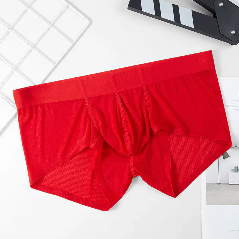 Men's Ice Silk Summer Underwear ( PACK OF 5 )